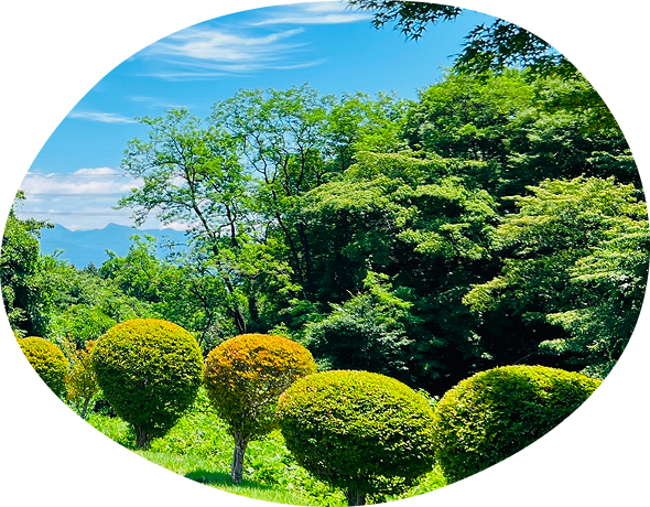 木