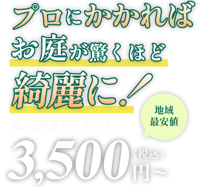 プロにかかればお庭が驚くほど綺麗に!庭木1本あたりなんと3,500円(税込)~